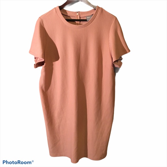 plus size clothing same day delivery